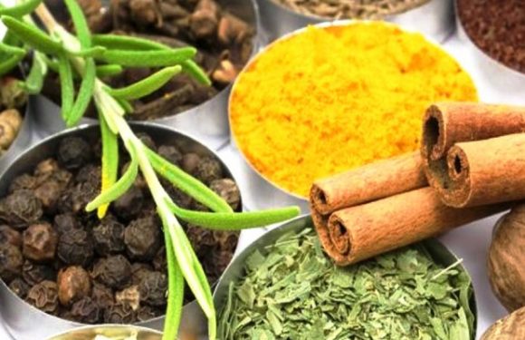 झलारीमा निशुल्क आयुर्वेदिक औषधि वितरण