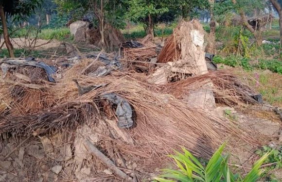 हात्तीको आक्रमणबाट रानाको मृत्यु