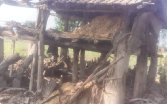 लालझाडीमा हात्तीको बथानले घर भत्कायो, पीडितको विचल्ली