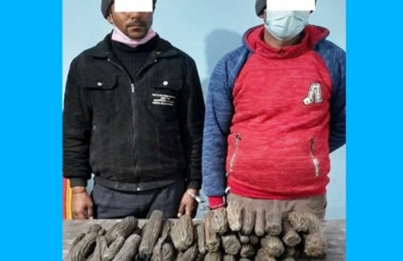 खानीडाँडाबाट १६ किलो चरेससहित २ जना पक्राउ