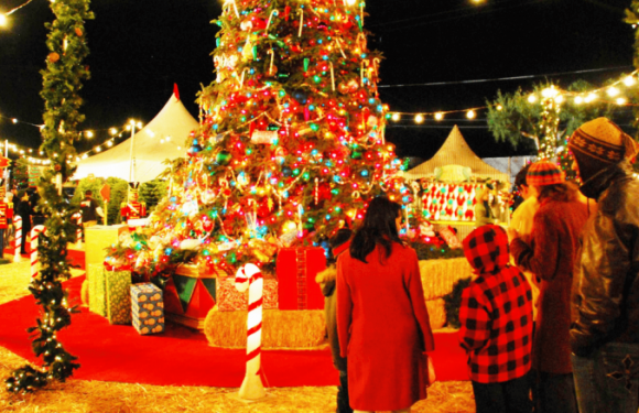 आज क्रिसमस डे‚ विविध कार्यक्रम गरी मनाइँदै