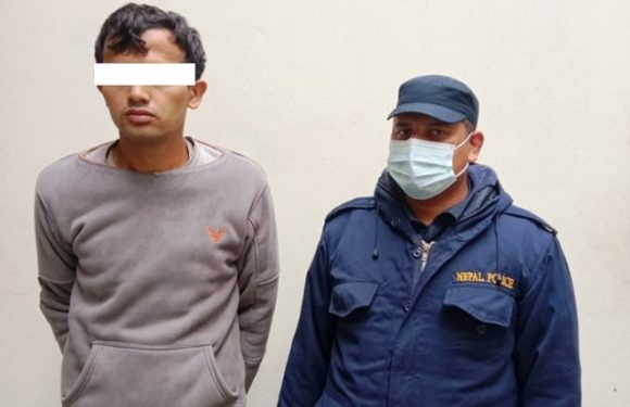 फरार थुनुवा महेन्द्रनगरबाट पक्राउ