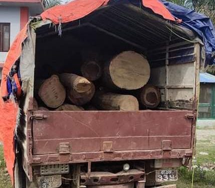 बेदकोटबाट मिनी ट्रक सहित काठ बरामद