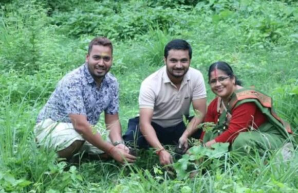 संञ्जिवनीले भीमदत्त नगरका ६ वडामा ८ सय बिरुवा रोप्यो