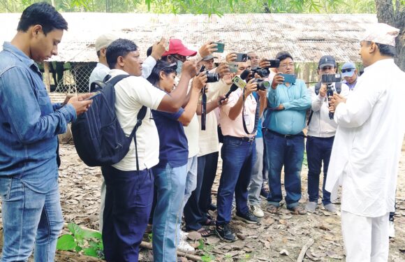 कृष्णपुर स्थानीय सरकारको मल्टिप्रपोज योजना  ऐश्वर्य सामुदायिक वनमा बेलदेखि चिउरी फलफुल खेती