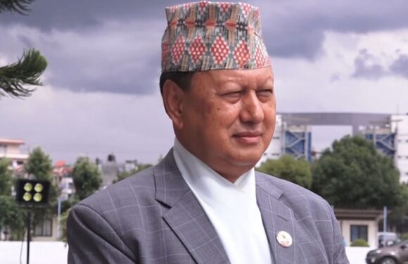 सांसद बस्नेत निलम्बित