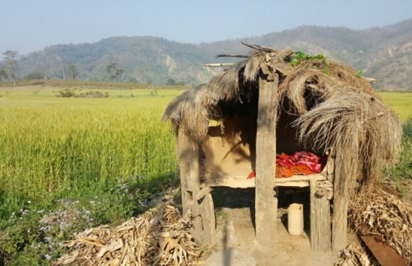 छाउगोठमा सुतेकी कमला दमाईको करेत सर्पले डस्दा अकालमै ज्यान गयो