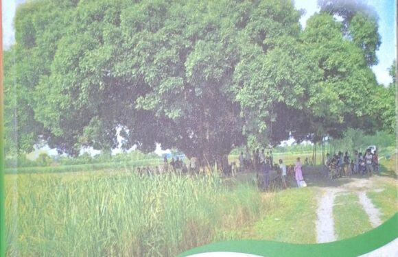 सुप विश्वविद्यालयका पूर्व डीन कलौनीको राना थारु लोक जीवन पुस्तक विमोचन