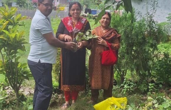 निःशुल्क बिरुवा वितरण शुरु 