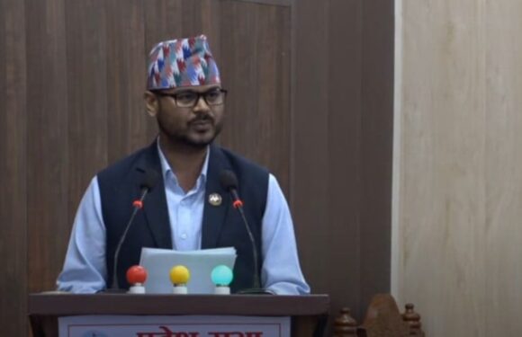 बिचौलिया सामु सुप प्रदेश सरकार निरिह ः सरल