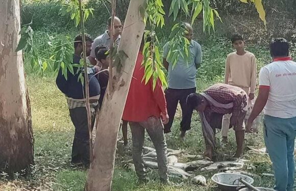 गोतमान सागर पोखरीमा घोटाला भएको भन्दै स्थानीय सरकारी निकाय गुहार्दै 