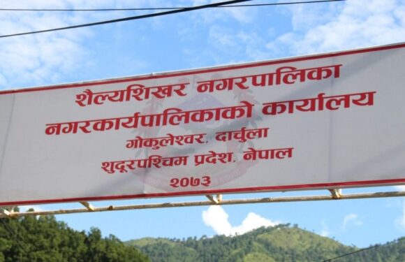 शैल्यशिखरका मेयरका छोरा सहित दुई जना पक्राउ