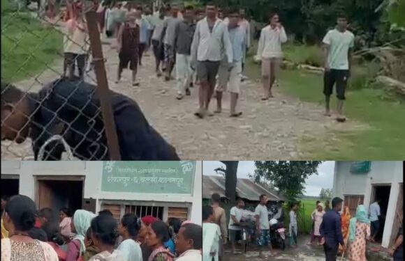 लालझाडीमा सुरो नेपालको किसानमाथि ठगि धन्दा किसान भन्छन, ‘सुरो नेपालका एजेण्ट विदेश घुमेर आए तर हामीलाई समान दिएन