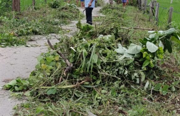 सडक सरसफाईमा हल्दुखालका युवा 