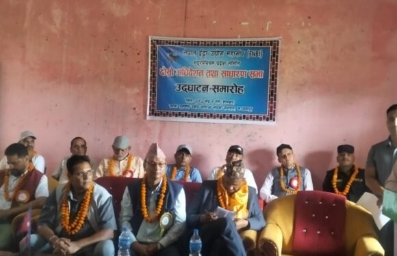 नेपाल ईटा उद्योग महासंघ सुदूरपश्चिम प्रदेशको अध्यक्षमा पुन बुडाल 