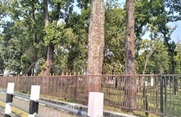 बजेट अभावले महेन्द्रनगर ईको पार्क अधुरै 