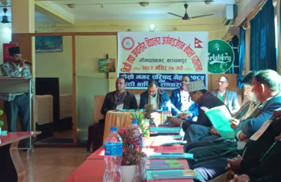 प्याब्सन भीमदत्त नगरको दोस्रोनगर परिषद