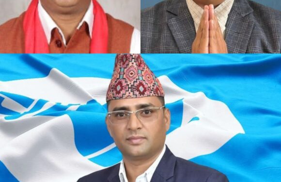 पहिलो प्रयासमै रास्वपामा युवा नेतात्रय   धामी, बोहरा र महता बने केन्द्रीय सासद