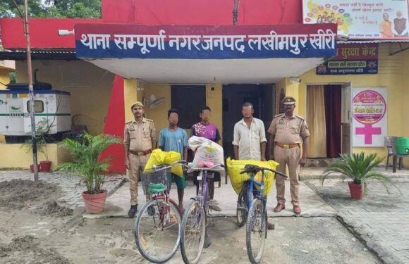 धौलेपानीको काठ बरामद प्रकरण ः डिभिजन वन कार्यालय कञ्चनपुरले भन्यो, ‘गैर कानूनी ढङगबाट घाटगद्दी गरियो’