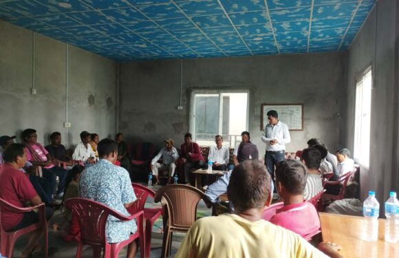 भीमदत्त नगर बरघर–भलमन्सा समितिमा चौधरी